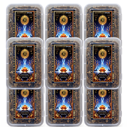 Shivayaam Dhuni (Solution to all your problems)